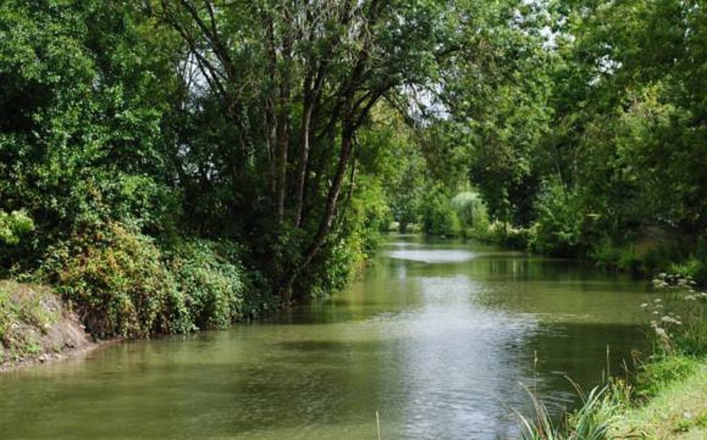 La Poussardiere Saint-Martin-sous-Mouzeuil المظهر الخارجي الصورة